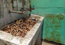 पानी-पानी चिल्ला रहे परिवहन विभाग के यात्री और बसड्डे