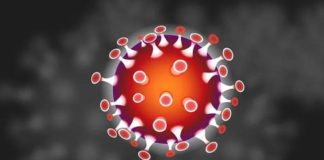 Corona : मई में मौत का तांडव, अब तक 4706