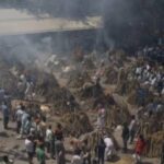 किस किस से करें दंगल! कोरोना के बाद अब काला फंगल