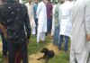वफादार कौन, कुत्ता या इंसान? पढ़िये ये स्टोरी… गॉव में किसी के मौत का पता चलते ही उसके दरवाजे पर पहुंच जाता है वो रोता है और फिर कब्रिस्तान तक साथ जाता है