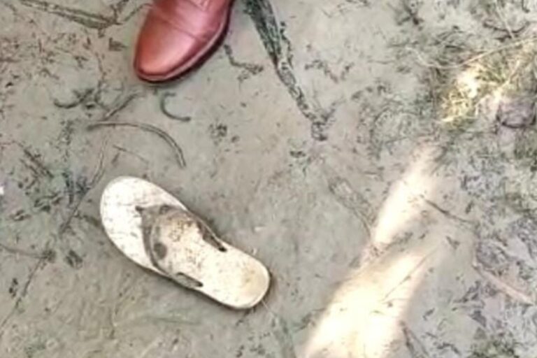 गणेश प्रतिमा विसर्जन के दौरान एक महिला समेत चार लोग डूबे, लाशों की तलाश जारी