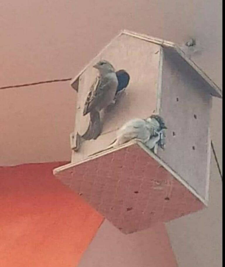 मौसम मौसम Not Lovely मौसम : कहीं गर्मी तो कहीं तेज आंधी के साथ होगी बारिश!