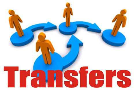 LOGO of transfer in the context of PCS Transfer 